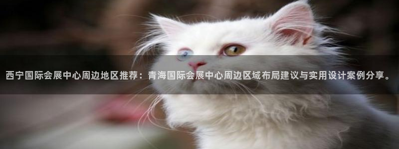 果博注册充值怎么退款：西宁国际会展中心周