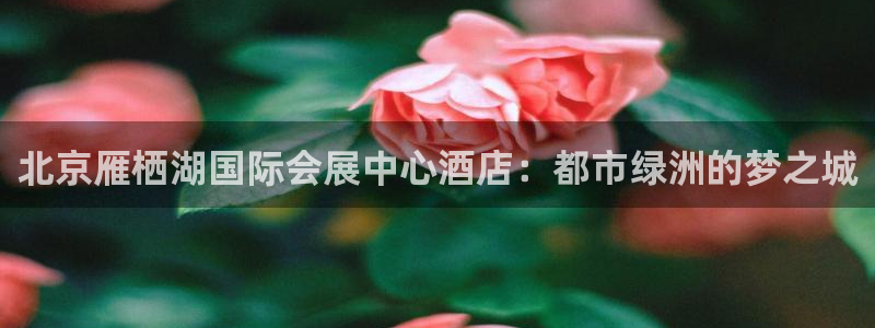 果博怎么注册账号