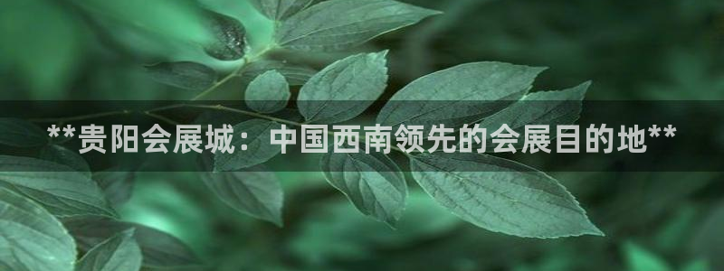 果博官网电话：**贵阳会展城：中国西南领先的会展目