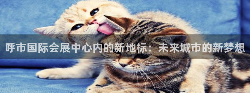 果博官网客服
