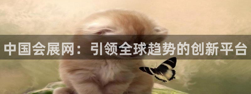 果博集团：中国会展网：引领全球趋势的创新