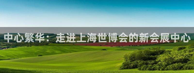 果博注册平台：中心繁华：走进上海世博会的新会展中心