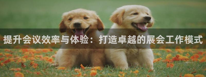 苹果电脑怎么下载博弈大师等软件：提升会议