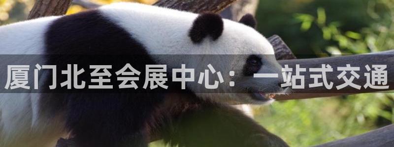 果博官网客服：厦门北至会展中心：一站式交通