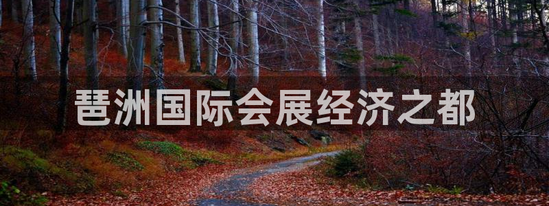 果博代理电话多少