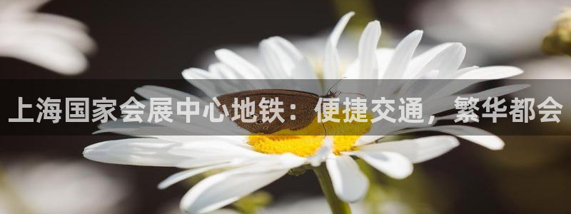 果博平台开户电话查询：上海国家会展中心地