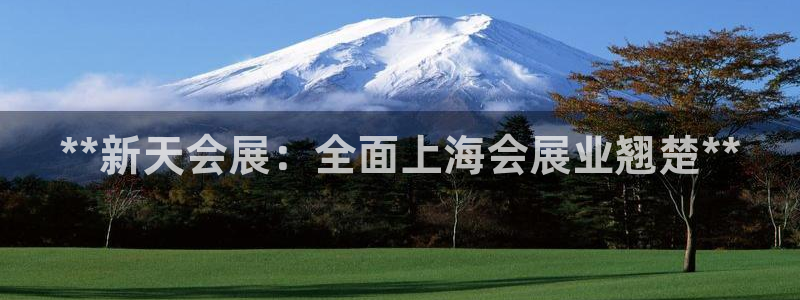 苹果电脑怎么下载博弈大师等软件：**新天会展：全面上海会展业翘楚**