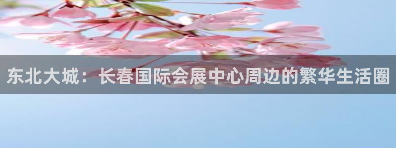 果博平台苹果电脑怎么下载：东北大城：长春