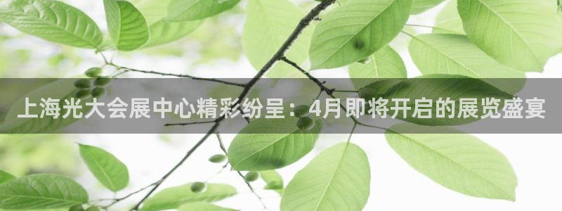 果博公司客服微信怎么加