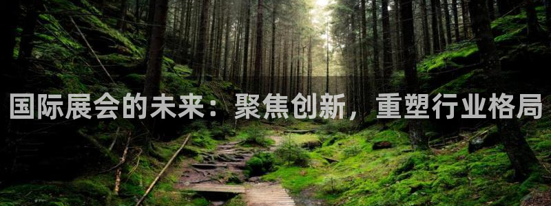 果博平台真实吗安全吗可信吗是真的吗：国际展会的未来：聚焦创新，重塑行业格局