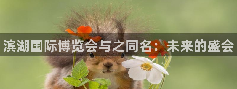 果博注册客服电话是多少啊：滨湖国际博览会与之同名：未来的盛会