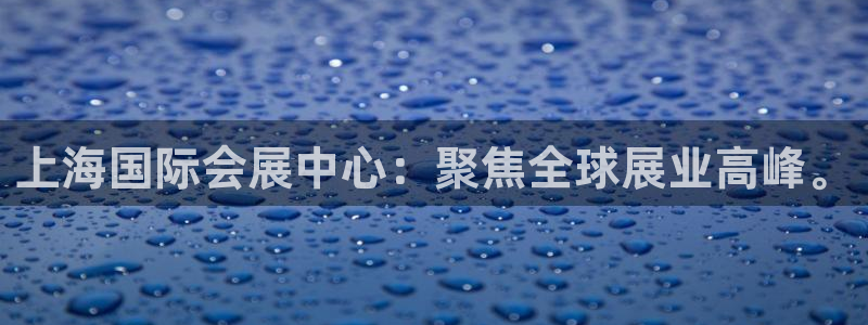 果博官方：上海国际会展中心：聚焦全球展业高峰。