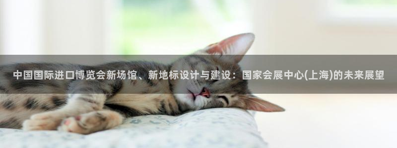 果博管理网：中国国际进口博览会新场馆、新地标设计与建设：国家会展中心(上海)的未来展望
