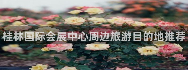 果博注册会员多少钱：桂林国际会展中心周边旅游目的地推荐