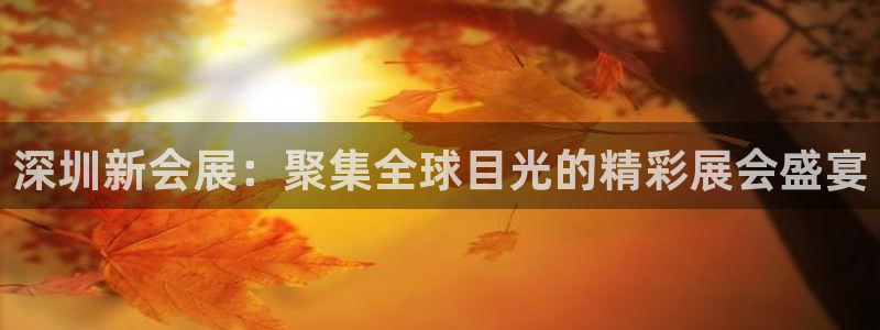 果博环保公司：深圳新会展：聚集全球目光的