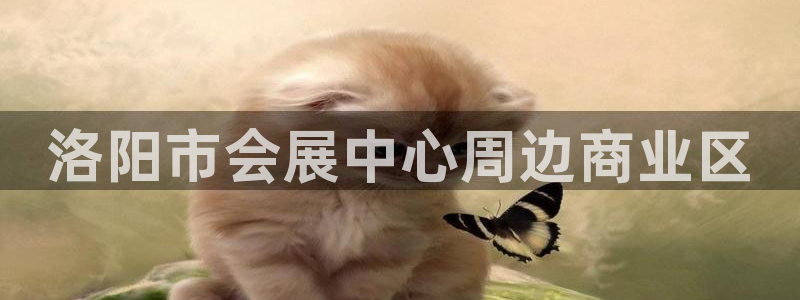 果博代理电话多少：洛阳市会展中心周边商业