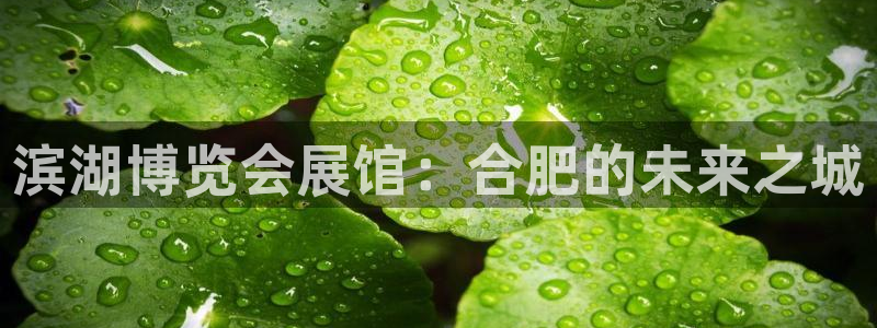 果博注册平台：滨湖博览会展馆：合肥的未来之城