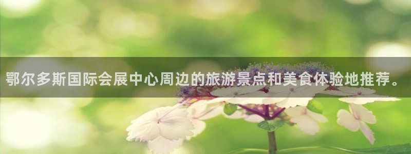 苹果手机能下载果博吗：鄂尔多斯国际会展中心周边的旅游景点和美食体验地推荐。