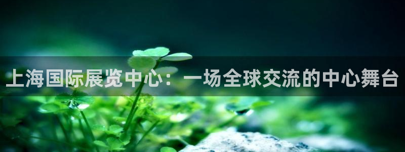 果博公司注册：上海国际展览中心：一场全球