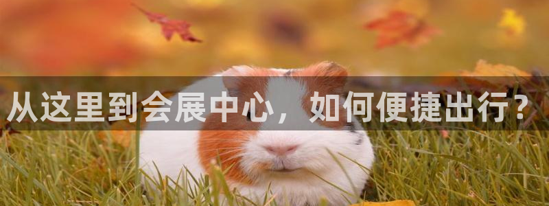 果博平台真实吗安全吗可信吗是真的吗