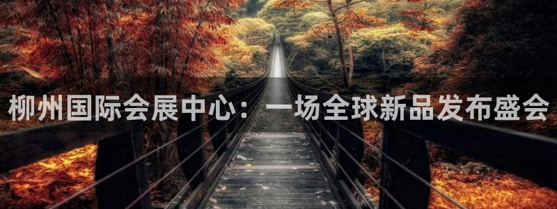 果博平台真实吗知乎：柳州国际会展中心：一