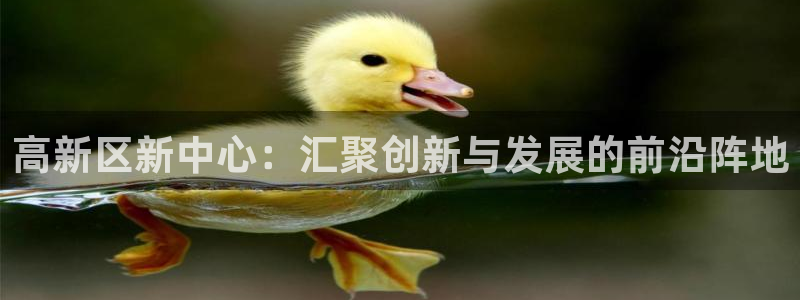果博公司会员开户：高新区新中心：汇聚创新与发展的前沿阵地