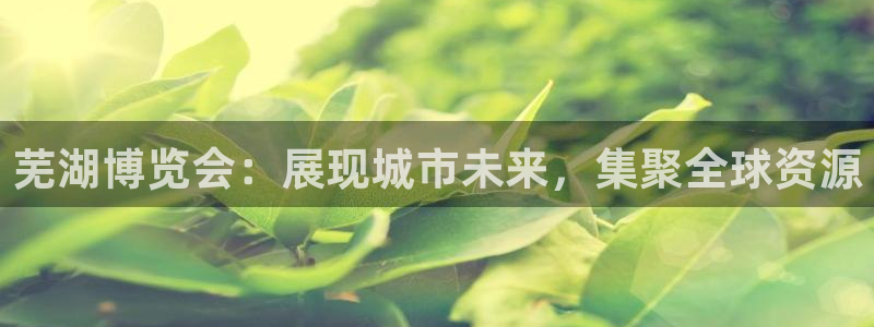果博上分电话：芜湖博览会：展现城市未来，