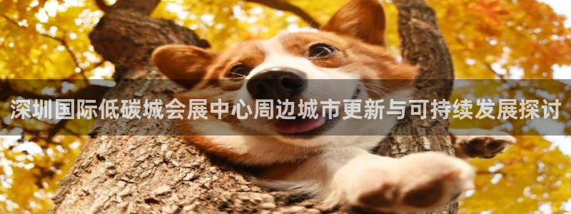 果博公司客服微信：深圳国际低碳城会展中心