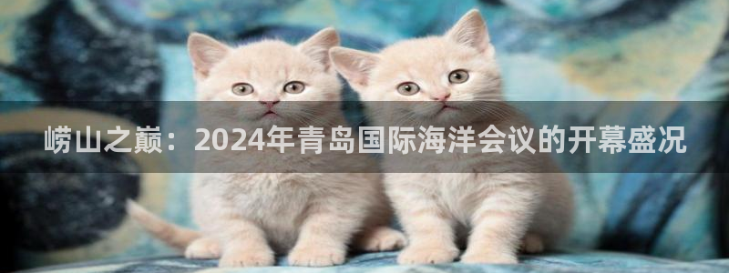 果博网站二维码：崂山之巅：2024年青岛