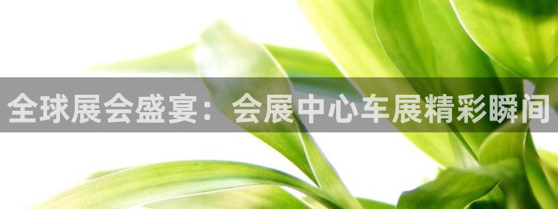 果博客服微信是多少：全球展会盛宴：会展中
