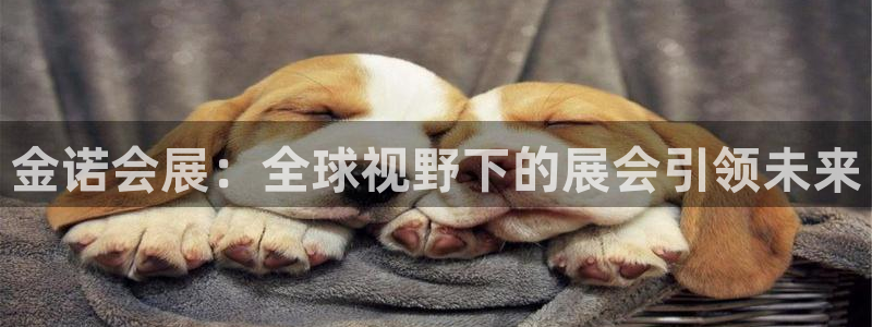 果博代理网：金诺会展：全球视野下的展会引