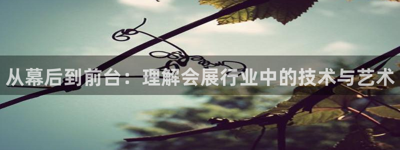 果博平台开户电话：从幕后到前台：理解会展