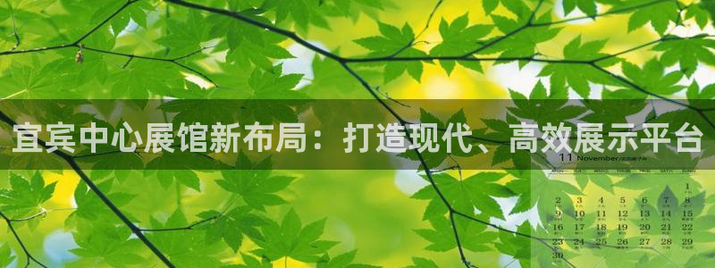 下载果博app：宜宾中心展馆新布局：打造现代、高效