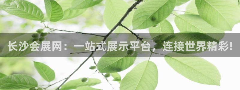 果博怎么注册账号：长沙会展网：一站式展示平台，连接世界精彩!