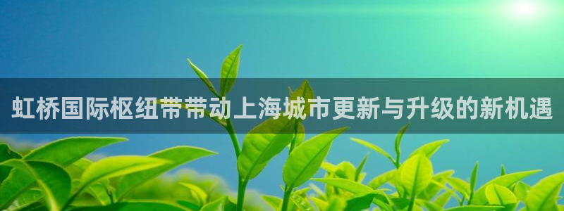果博公司客服微信：虹桥国际枢纽带带动上海