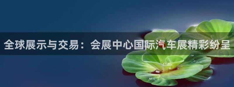 果博注册平台怎么注册账号：全球展示与交易