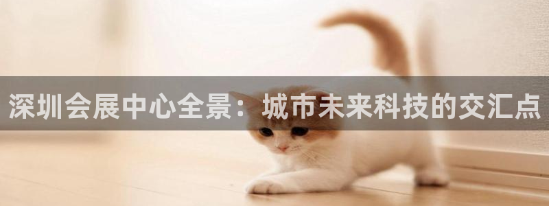 果博平台真实吗安全吗可信吗安全吗：深圳会