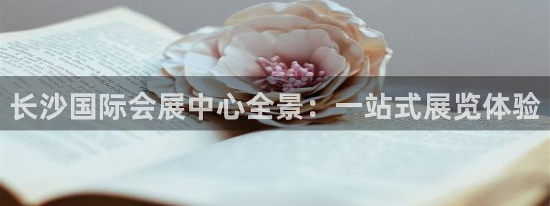 果博公司游戏网址：长沙国际会展中心全景：