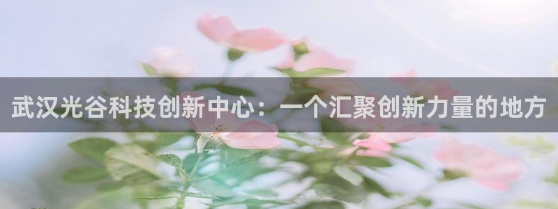 果博怎么注册账号和密码：武汉光谷科技创新中心：一个汇聚创新力量的地方