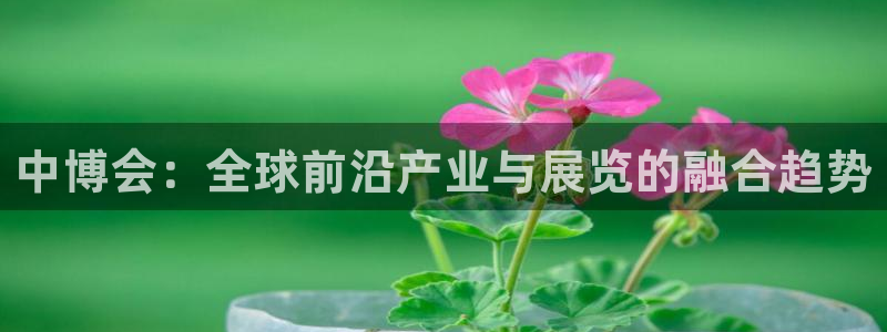 果博注册充值：中博会：全球前沿产业与展览