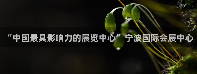 果博代理：“中国最具影响力的展览中心”宁波国际会展中心