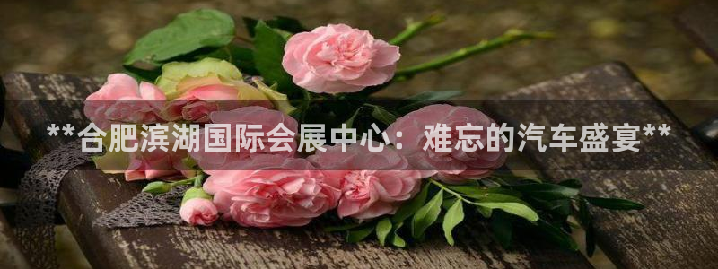 果博代理电话多少：**合肥滨湖国际会展中心：难忘的汽车盛宴**