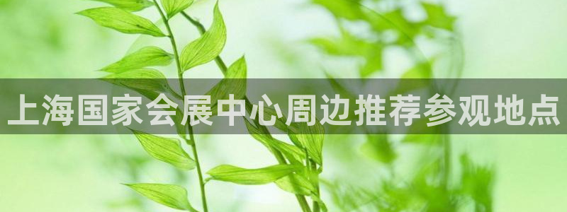 果博注册:上海国家会展中心周边推荐参观地