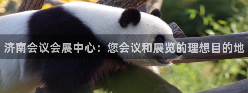 果博注册链接：济南会议会展中心：您会议和展览的理想目的地