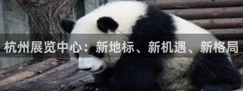 果博代理：杭州展览中心：新地标、新机遇、新格局