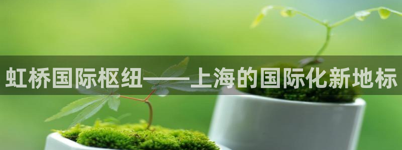 果博注册会员要钱吗：虹桥国际枢纽——上海的国际化新地标