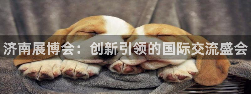 果博公司开户注册：济南展博会：创新引领的国际交流盛