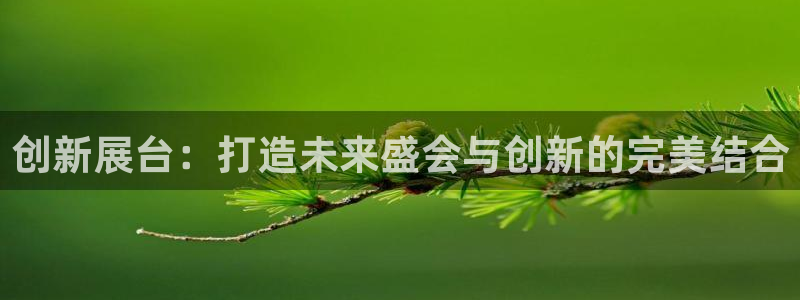 果博官网首页：创新展台：打造未来盛会与创