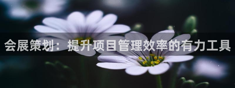 果博注册客服电话号码：会展策划：提升项目管理效率的