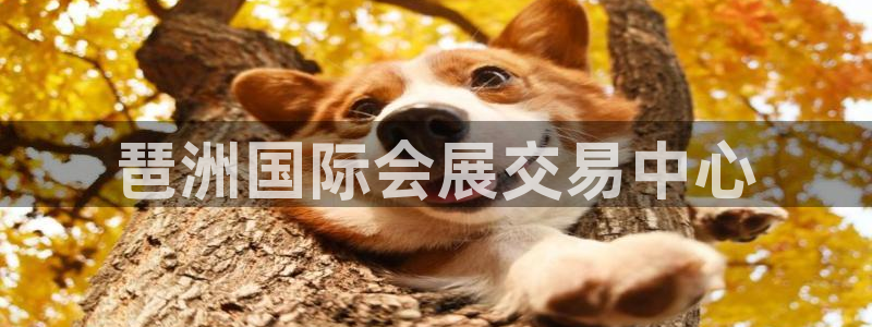 果博官网首页：琶洲国际会展交易中心